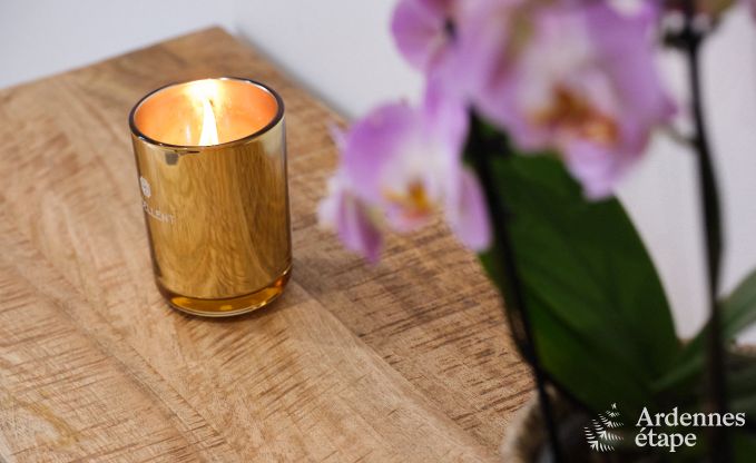 Gem�tliches Familienhaus in Clavier, Ardennen