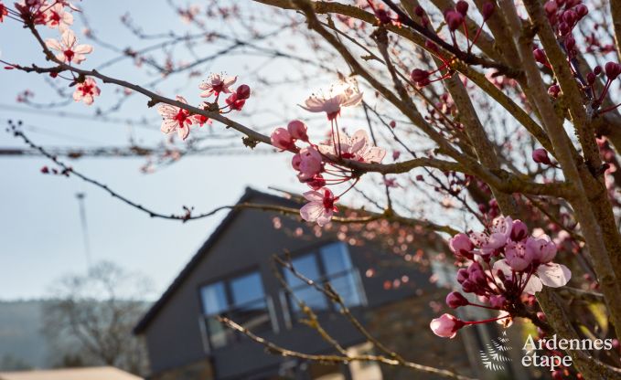 Ferienhaus Coo 11 Pers. Ardennen