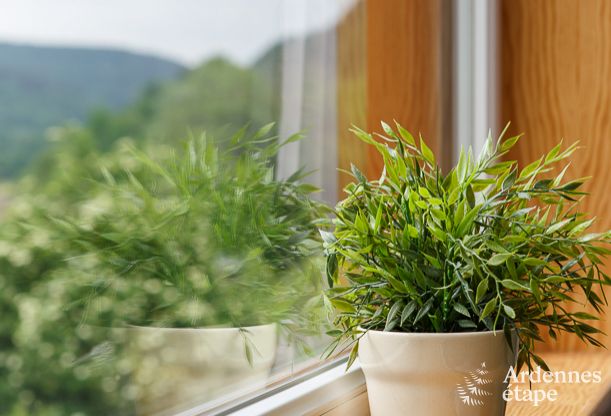 Luxusvilla Coo 8 Pers. Ardennen Wellness