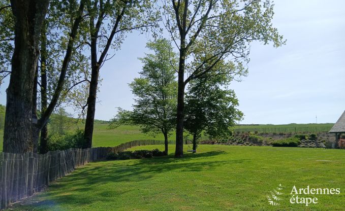 Cottage Couvin 8 Pers. Ardennen Schwimmbad Wellness