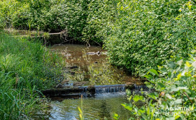 Cottage Couvin 4 Pers. Ardennen