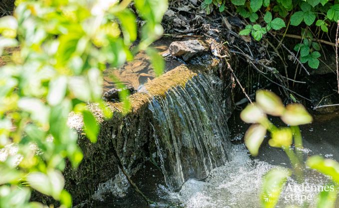 Cottage Couvin 4 Pers. Ardennen