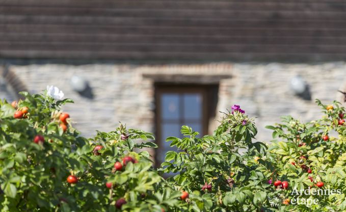 Cottage Couvin 15 Pers. Ardennen Wellness