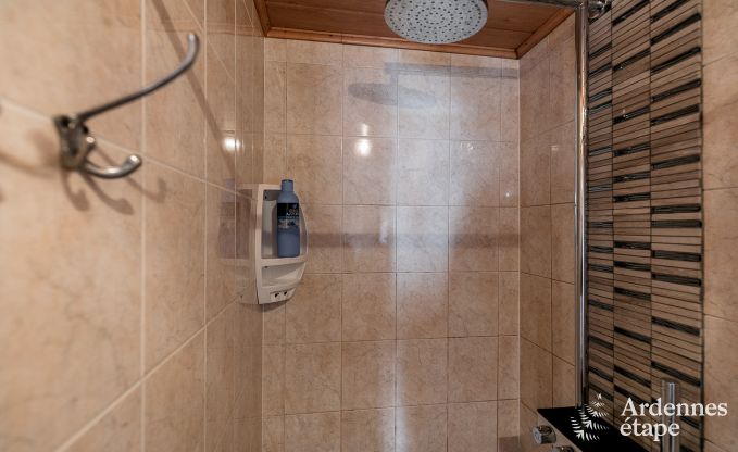 Ferienhaus Couvin 15 Pers. Ardennen Wellness