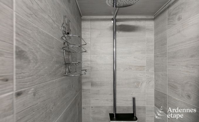 Ferienhaus Couvin 15 Pers. Ardennen Wellness