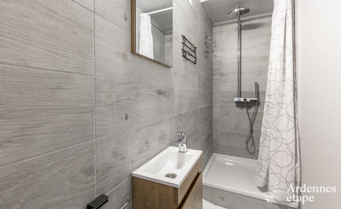 Ferienhaus Couvin 15 Pers. Ardennen Wellness