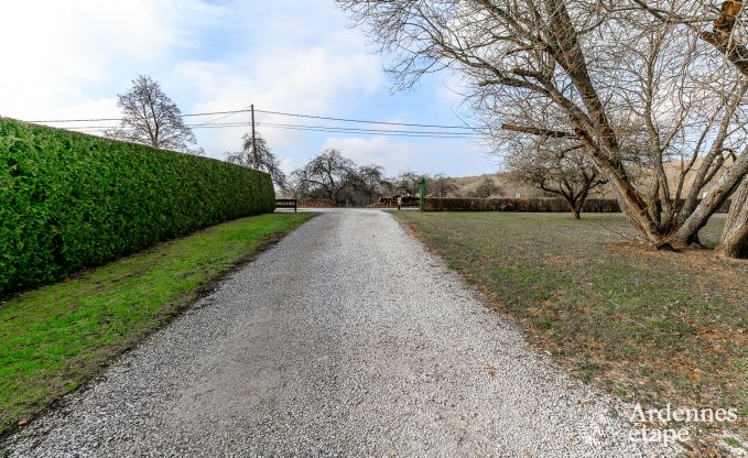 Ferienhaus Couvin 15 Pers. Ardennen Wellness