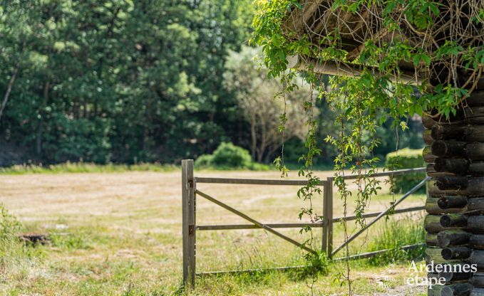 Cottage Couvin 2 Pers. Ardennen