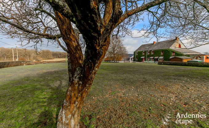 Ferienhaus Couvin 15 Pers. Ardennen Wellness