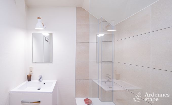 Ferienhaus Couvin 15/16 Pers. Ardennen Wellness