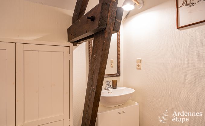 Ferienhaus Couvin 15/16 Pers. Ardennen Wellness