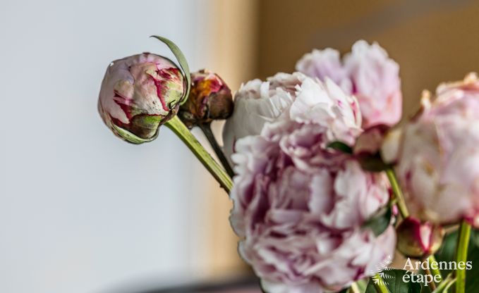 Ferienhaus Dalhem 6 Pers. Ardennen Behinderten gerecht