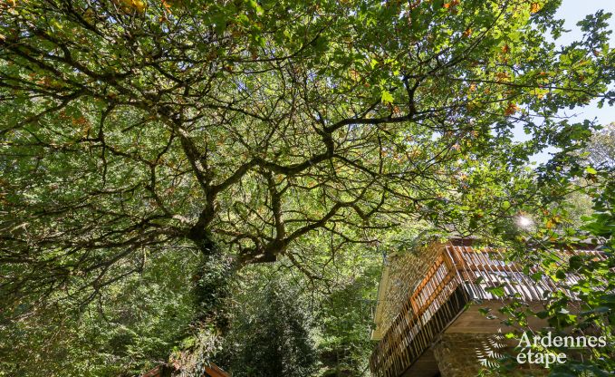 Chalet Daverdisse 8 Pers. Ardennen Wellness