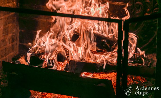 Ferienhaus Daverdisse 14 Pers. Ardennen