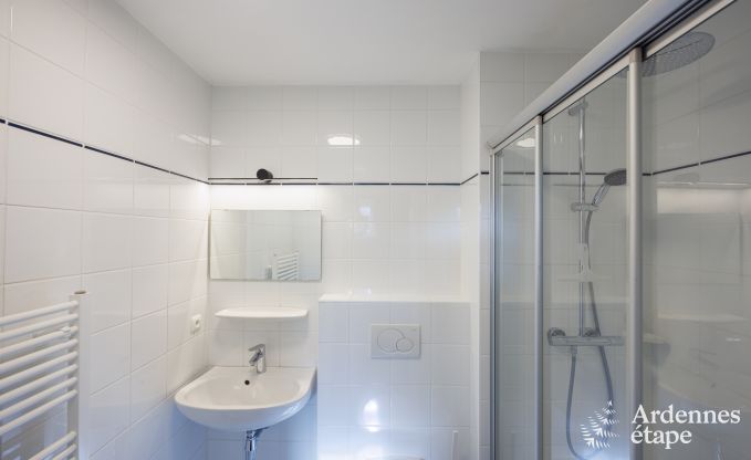 Ferienhaus Daverdisse 15/17 Pers. Ardennen Wellness