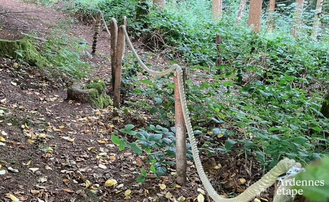 Gerumige Luxusvilla in Daverdisse fr 22 Personen mit 11 Schlafzimmern, Hallenbad, Sauna und Whirlpool