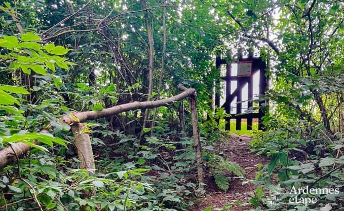 Luxusvilla Daverdisse, 10 Schlafzimmer, 9 Badezimmer, Schwimmbad, Jacuzzi, Sauna, Spielzimmer, in der N�he von Wald und Fluss