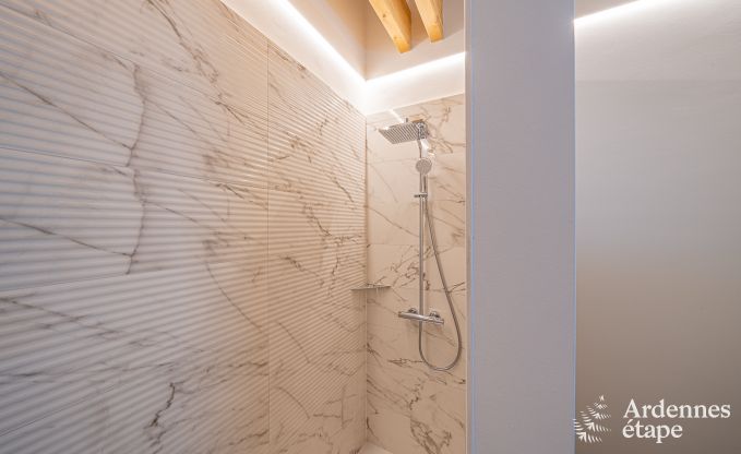 Luxusvilla Daverdisse, 10 Schlafzimmer, 9 Badezimmer, Schwimmbad, Jacuzzi, Sauna, Spielzimmer, in der N�he von Wald und Fluss