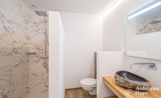 Luxusvilla Daverdisse, 10 Schlafzimmer, 9 Badezimmer, Schwimmbad, Jacuzzi, Sauna, Spielzimmer, in der N�he von Wald und Fluss