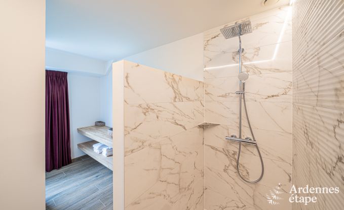 Luxusvilla Daverdisse, 10 Schlafzimmer, 9 Badezimmer, Schwimmbad, Jacuzzi, Sauna, Spielzimmer, in der N�he von Wald und Fluss