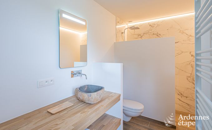 Luxusvilla Daverdisse, 10 Schlafzimmer, 9 Badezimmer, Schwimmbad, Jacuzzi, Sauna, Spielzimmer, in der N�he von Wald und Fluss