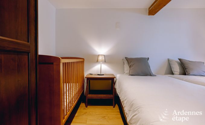 Ferienhaus Daverdisse 9 Pers. Ardennen