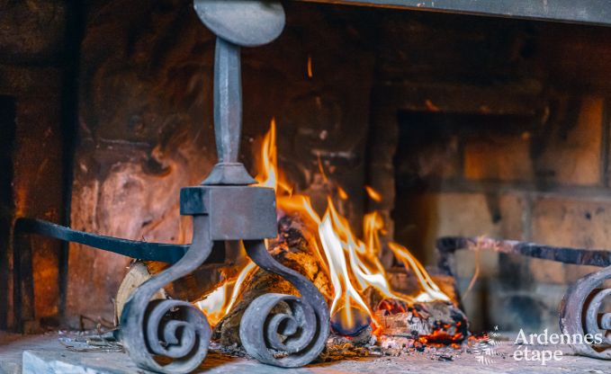 Ferienhaus Daverdisse 9 Pers. Ardennen