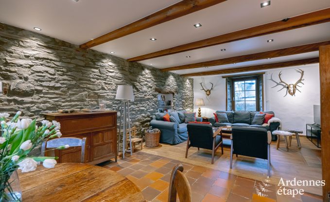 Ferienhaus Daverdisse 9 Pers. Ardennen