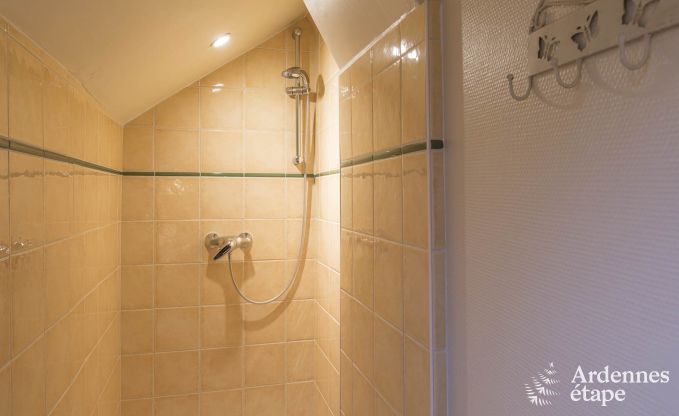 Ferienhaus Daverdisse 15 Pers. Ardennen Wellness