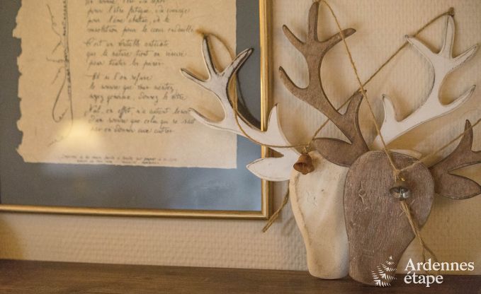 Ferienhaus Daverdisse 15 Pers. Ardennen Wellness