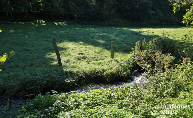 Ferienhaus Daverdisse 15 Pers. Ardennen Wellness