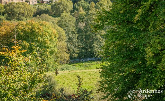 Gerumige Ferienvilla in Daverdisse fr 14 Personen mit 5 Schlaf- und Badezimmern, Wellnesseinrichtungen und Privatgarten