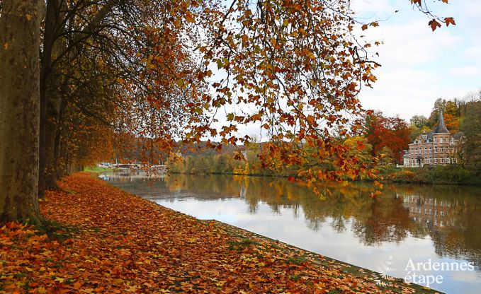 Chalet Dinant (Hasti�re) 6 Pers. Ardennen