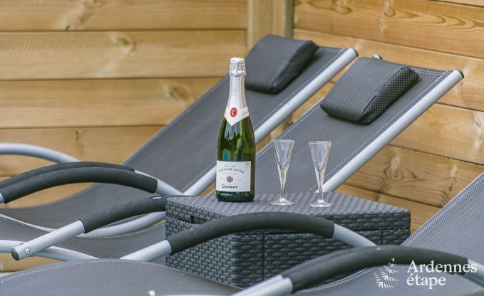 Ferienhaus Dinant (Hasti�re) 12/13 Pers. Ardennen Schwimmbad