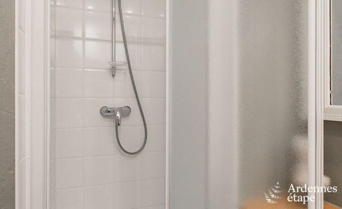 Ferienhaus Dinant (Hasti�re) 12/13 Pers. Ardennen Schwimmbad