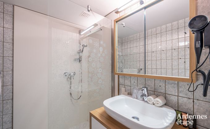 Ger�umiges Ferienhaus f�r 20 Personen mit 10 Schlafzimmern, Sauna, Jacuzzi und Spielzimmer in der N�he von Dinant