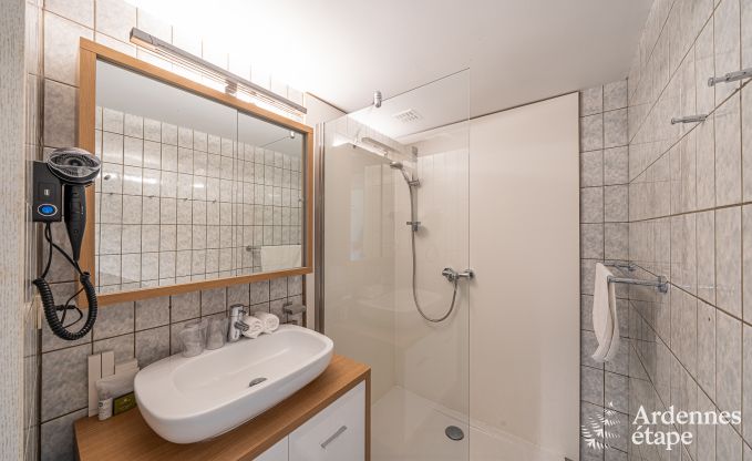 Ger�umiges Ferienhaus f�r 20 Personen mit 10 Schlafzimmern, Sauna, Jacuzzi und Spielzimmer in der N�he von Dinant