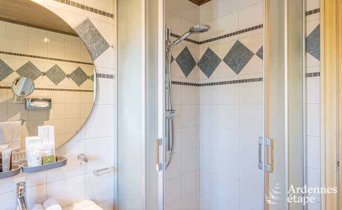 Ger�umiges Ferienhaus f�r 20 Personen mit 10 Schlafzimmern, Sauna, Jacuzzi und Spielzimmer in der N�he von Dinant