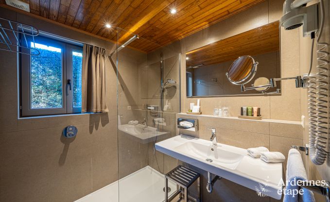 Ger�umiges Ferienhaus f�r 20 Personen mit 10 Schlafzimmern, Sauna, Jacuzzi und Spielzimmer in der N�he von Dinant