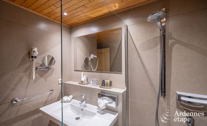 Ger�umiges Ferienhaus f�r 20 Personen mit 10 Schlafzimmern, Sauna, Jacuzzi und Spielzimmer in der N�he von Dinant