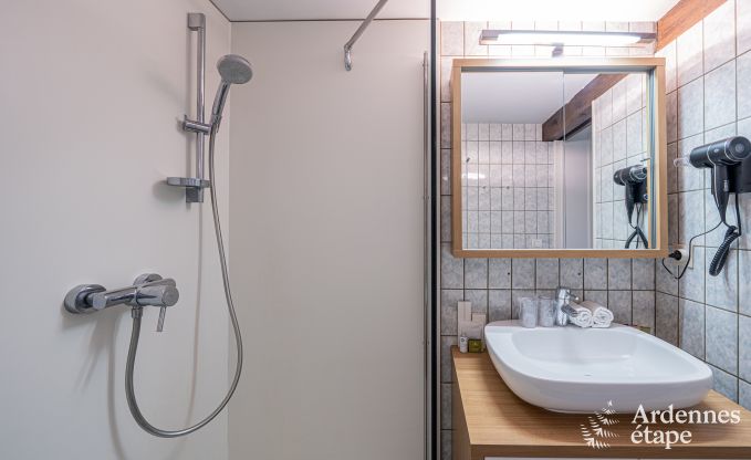 Ger�umiges Ferienhaus f�r 20 Personen mit 10 Schlafzimmern, Sauna, Jacuzzi und Spielzimmer in der N�he von Dinant