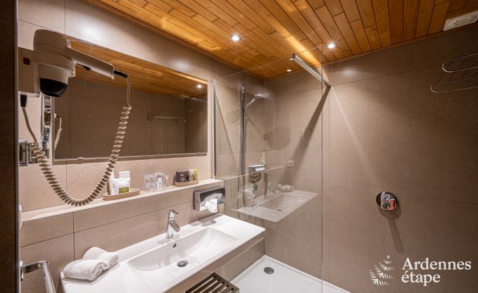 Ger�umiges Ferienhaus f�r 20 Personen mit 10 Schlafzimmern, Sauna, Jacuzzi und Spielzimmer in der N�he von Dinant