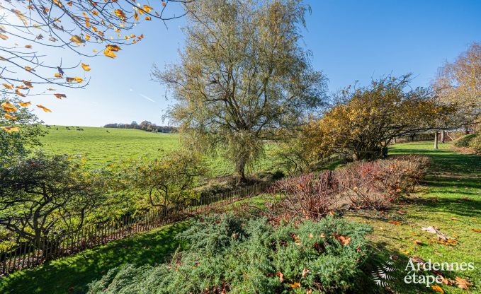 Ger�umiges Ferienhaus f�r 20 Personen mit 10 Schlafzimmern, Sauna, Jacuzzi und Spielzimmer in der N�he von Dinant