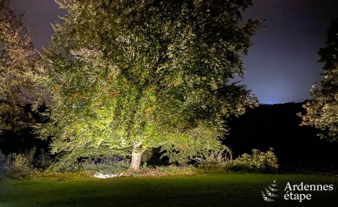 Ger�umiges Ferienhaus mit Pool in Dinant, Ardennen