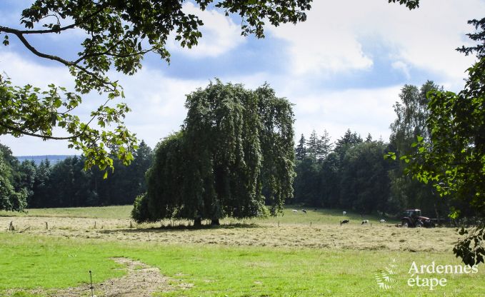 Ferienhaus Dinant 6 Pers. Ardennen