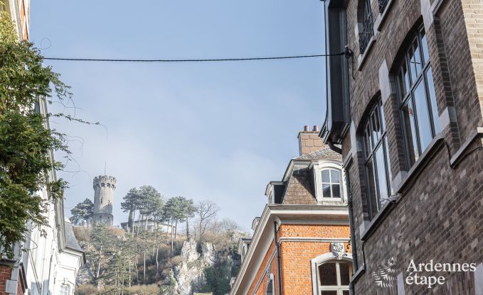 Ferienhaus Dinant 12/14 Pers. Ardennen