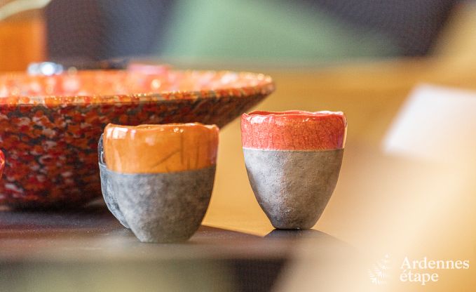 Ferienhaus Dinant 12/14 Pers. Ardennen