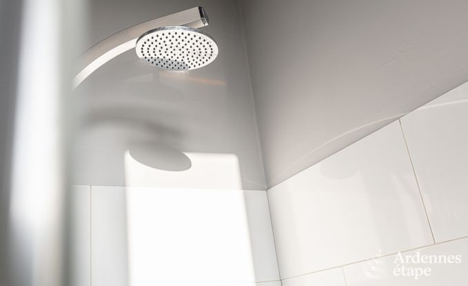 Ferienhaus Dinant 12/14 Pers. Ardennen