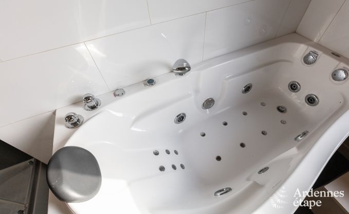 Ferienhaus Dinant 12/14 Pers. Ardennen