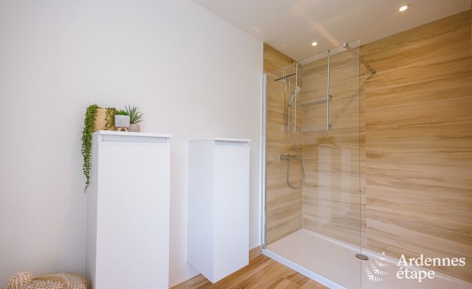 Ferienhaus Dinant 6 Pers. Ardennen